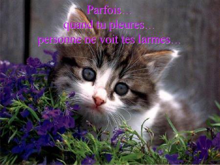 Parfois...